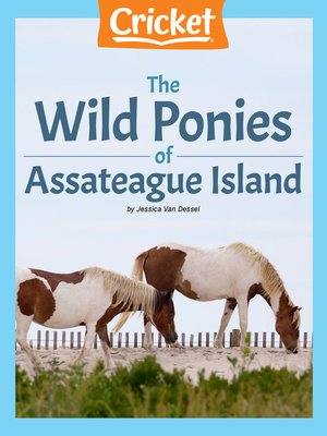 cover image of The Wild Ponies of Assateague Island